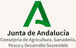 junta